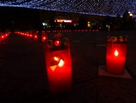 Imagine atasata: 16 decembrie - 2014.12.16 - 32.jpg